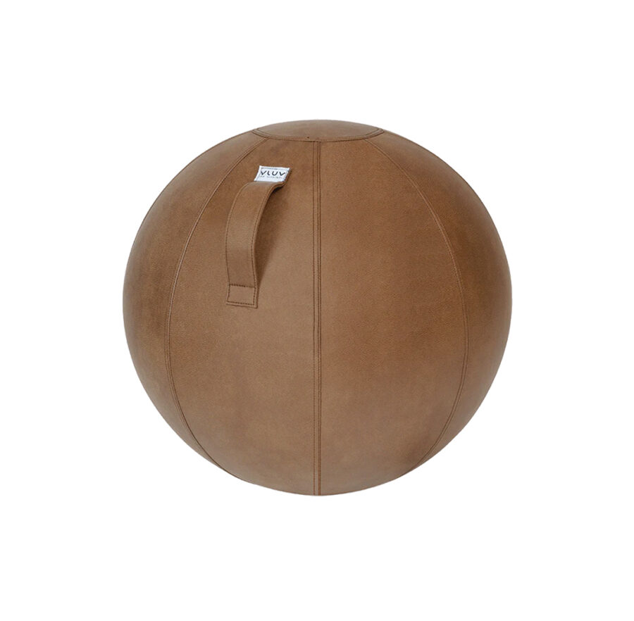 Sitzball
